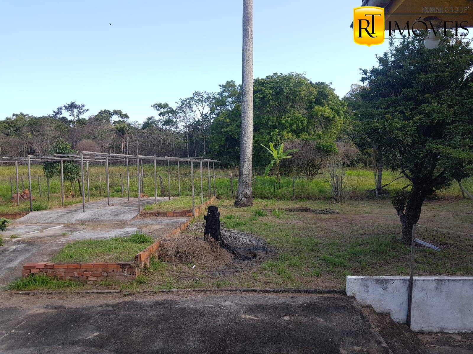 Fazenda à venda com 4 quartos, 55000m² - Foto 11