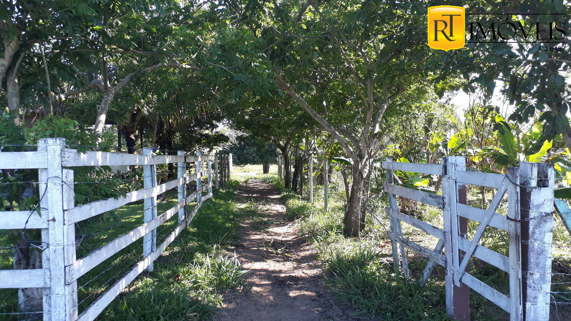 Fazenda à venda com 2 quartos, 7800m² - Foto 2