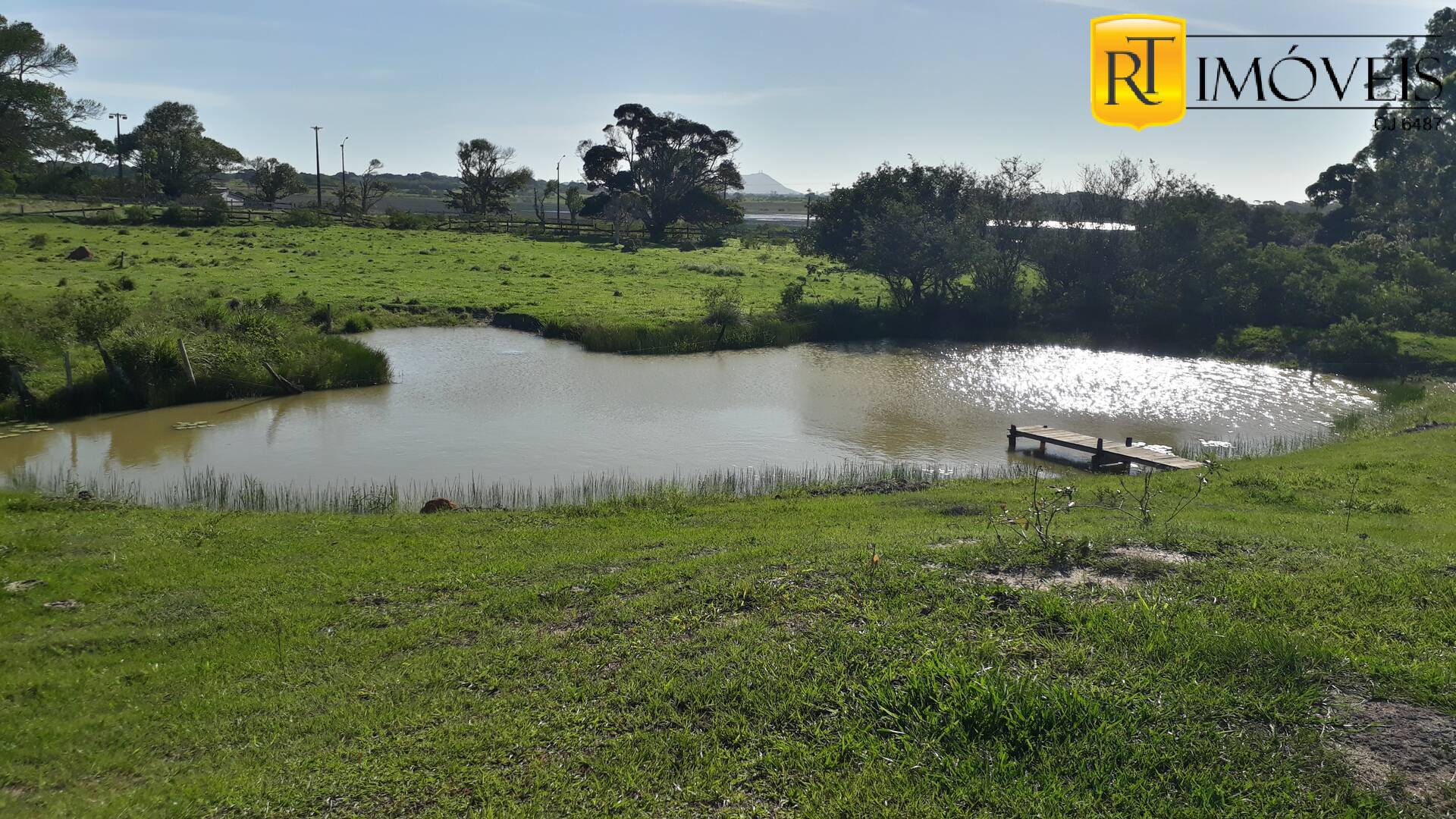 Fazenda à venda com 2 quartos, 7800m² - Foto 4